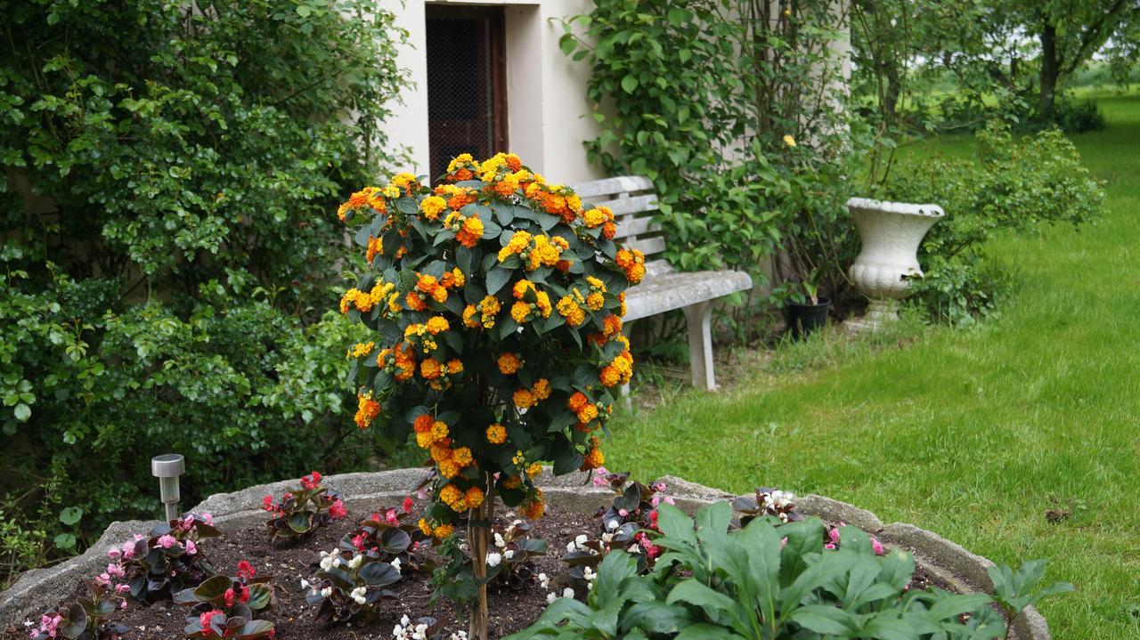 Richzenhainer-Hof Waldheim Exteriör bild